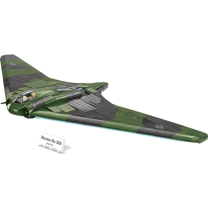 Horton Ho 229