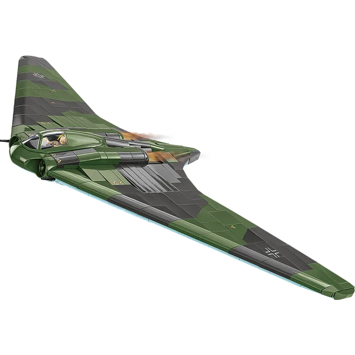 Horton Ho 229